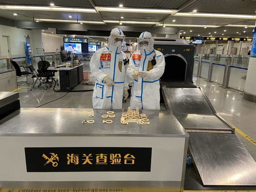 警惕！回蓉旅客攜帶象牙手鐲被成都海關查獲，教學模型制造需守法規