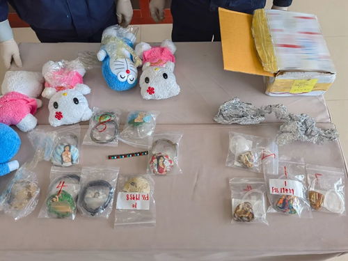 海關查獲人體組織制品玩具 教學模型暗藏人骨成分