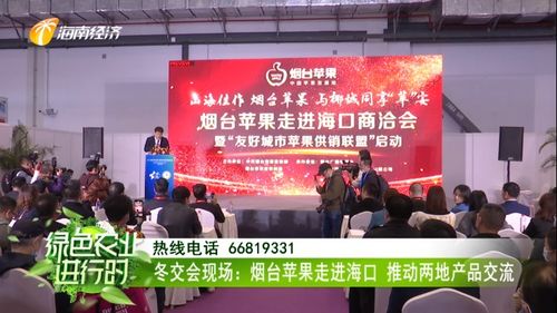 煙臺蘋果香飄?？?冬交盛會架起南北交流新橋梁